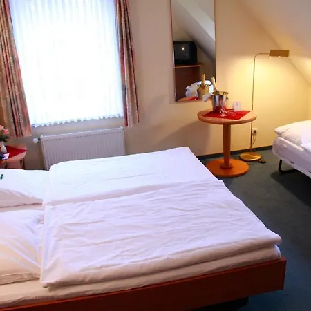 Hotel Dralle 3*